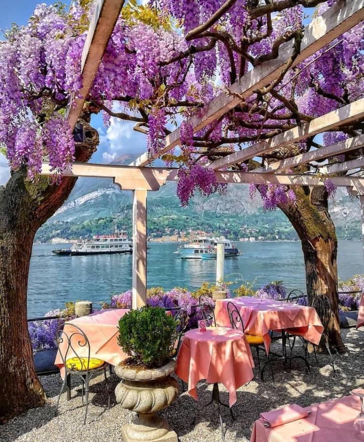 Appartamento Giardino Bellagio Dış mekan fotoğraf