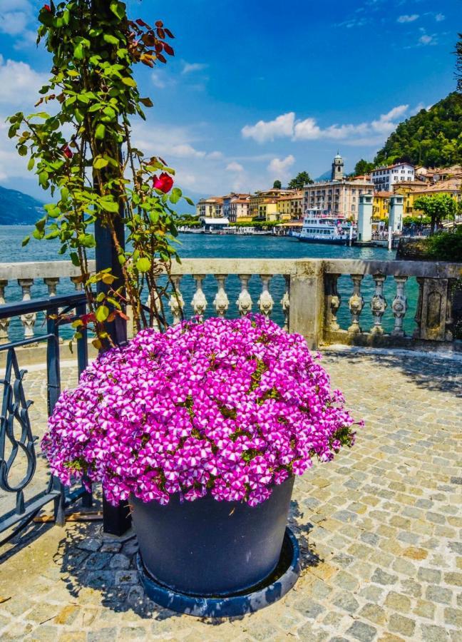 Appartamento Giardino Bellagio Dış mekan fotoğraf